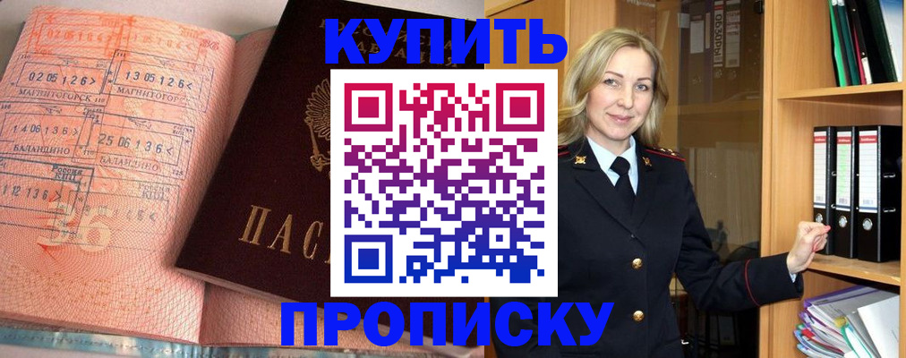 прописка в Судогде